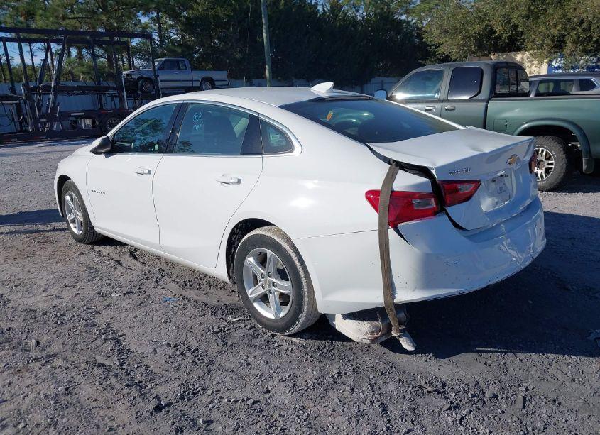 Photo 3 of 2024 Chevrolet Malibu FWD 1LT (VIN 1G1ZD5ST3RF116800)