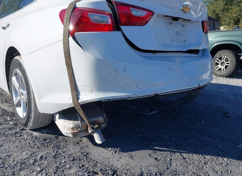 Photo 6 of 2024 Chevrolet Malibu FWD 1LT (VIN 1G1ZD5ST3RF116800)