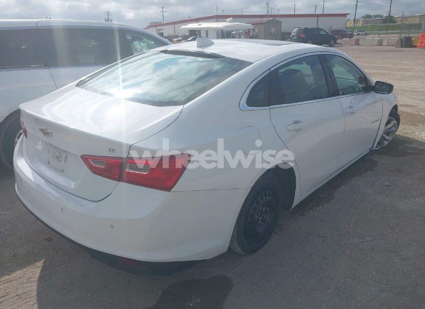 Photo 4 of 2024 Chevrolet Malibu FWD 1LT (VIN 1G1ZD5ST3RF131894)