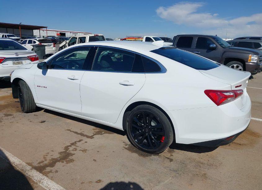 Photo 13 of 2025 Chevrolet Malibu FWD 1LT (VIN 1G1ZD5ST3SF107357)