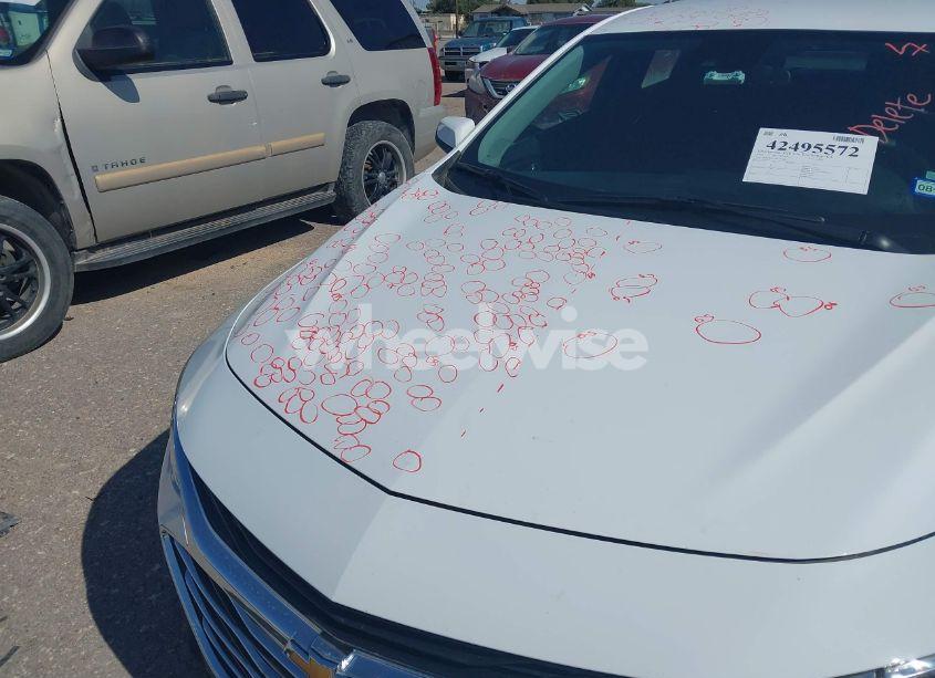 Photo 6 of 2025 Chevrolet Malibu FWD 1LT (VIN 1G1ZD5ST3SF114289)