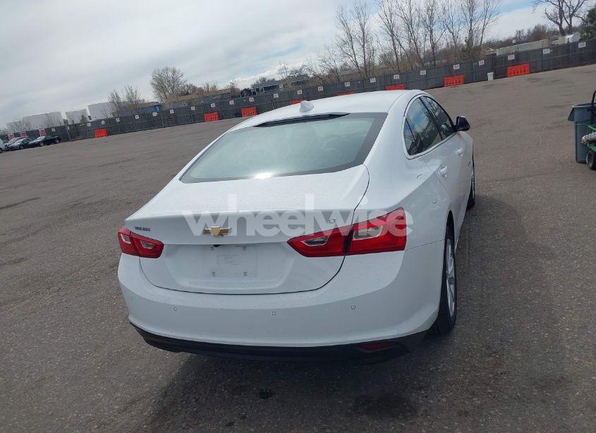 Photo 16 of 2025 Chevrolet Malibu FWD 1LT (VIN 1G1ZD5ST3SF121873)