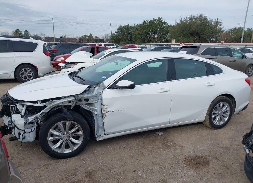 Photo 15 of 2025 Chevrolet Malibu FWD 1LT (VIN 1G1ZD5ST3SF122571)