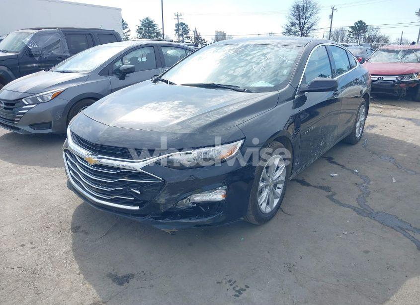 Photo 6 of 2025 Chevrolet Malibu FWD 1LT (VIN 1G1ZD5ST3SF130783)