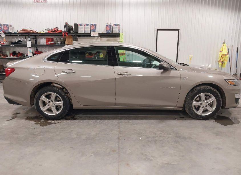 Photo 13 of 2023 Chevrolet Malibu FWD 1LT (VIN 1G1ZD5ST4PF202226)
