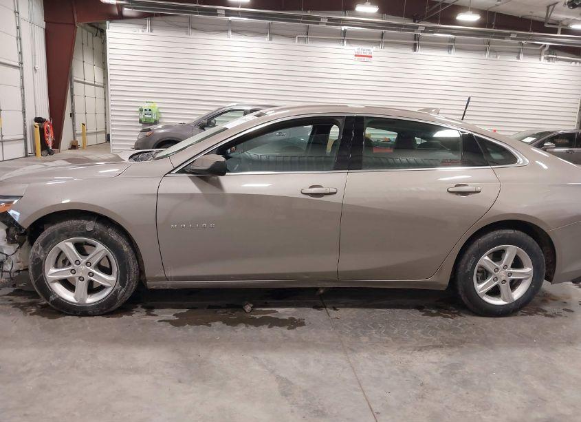 Photo 14 of 2023 Chevrolet Malibu FWD 1LT (VIN 1G1ZD5ST4PF202226)