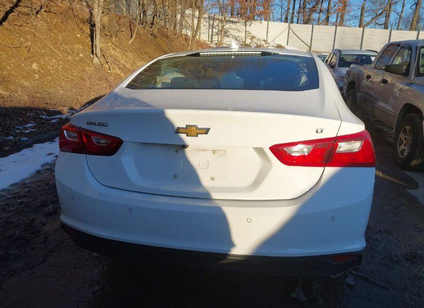 Photo 15 of 2024 Chevrolet Malibu FWD 1LT (VIN 1G1ZD5ST4RF106941)