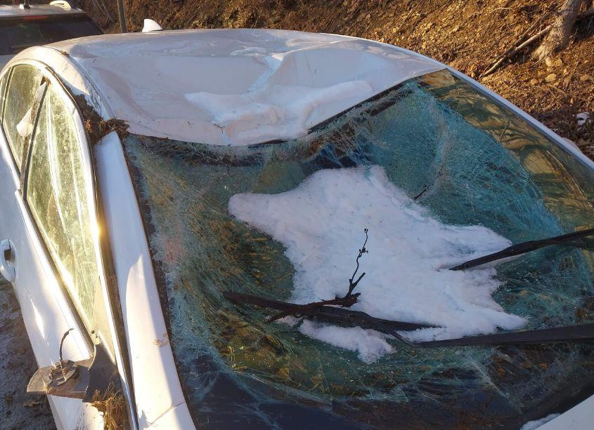 Photo 19 of 2024 Chevrolet Malibu FWD 1LT (VIN 1G1ZD5ST4RF106941)