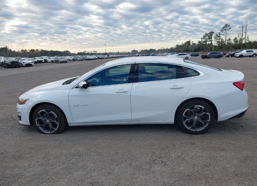 Photo 14 of 2024 Chevrolet Malibu FWD 1LT (VIN 1G1ZD5ST4RF151796)