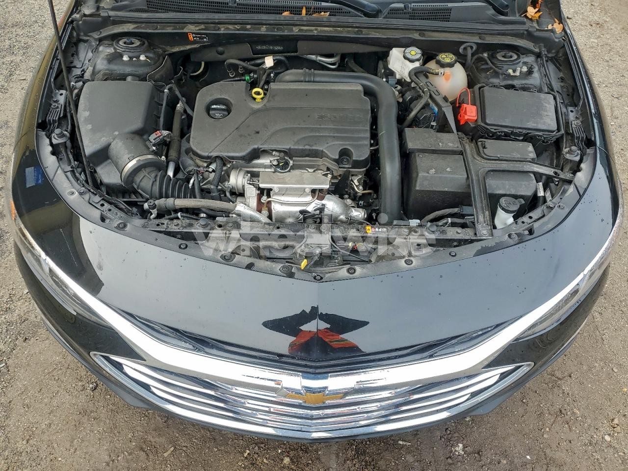 Photo 11 of 2024 CHEVROLET MALIBU LT (VIN 1G1ZD5ST4RF152592)