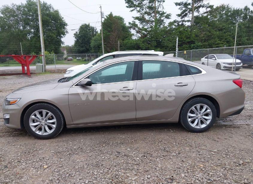 Photo 14 of 2025 Chevrolet Malibu FWD 1LT (VIN 1G1ZD5ST4SF150931)