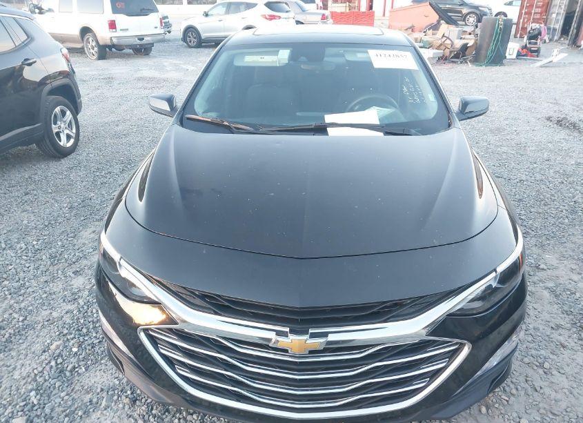 Photo 6 of 2024 Chevrolet Malibu FWD 1LT (VIN 1G1ZD5ST5RF109184)