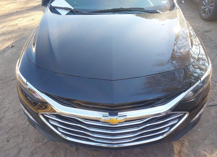 Photo 6 of 2024 Chevrolet Malibu FWD 1LT (VIN 1G1ZD5ST5RF129113)