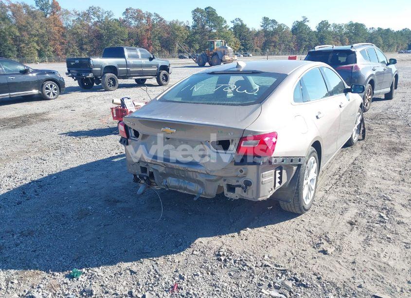 Photo 4 of 2024 Chevrolet Malibu FWD 1LT (VIN 1G1ZD5ST6RF126866)