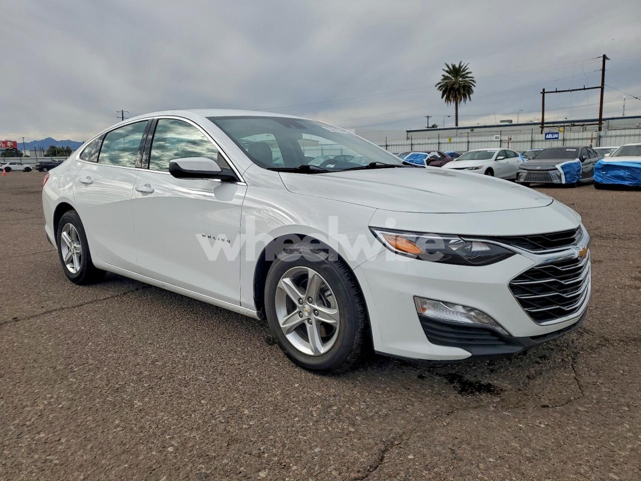 Photo 4 of 2024 CHEVROLET MALIBU LT (VIN 1G1ZD5ST6RF127077)