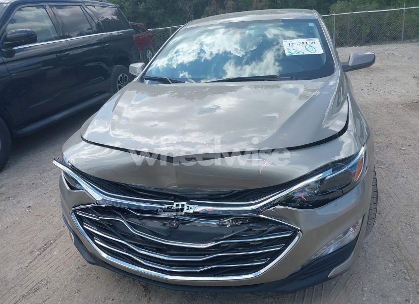 Photo 12 of 2024 Chevrolet Malibu FWD 1LT (VIN 1G1ZD5ST6RF142484)