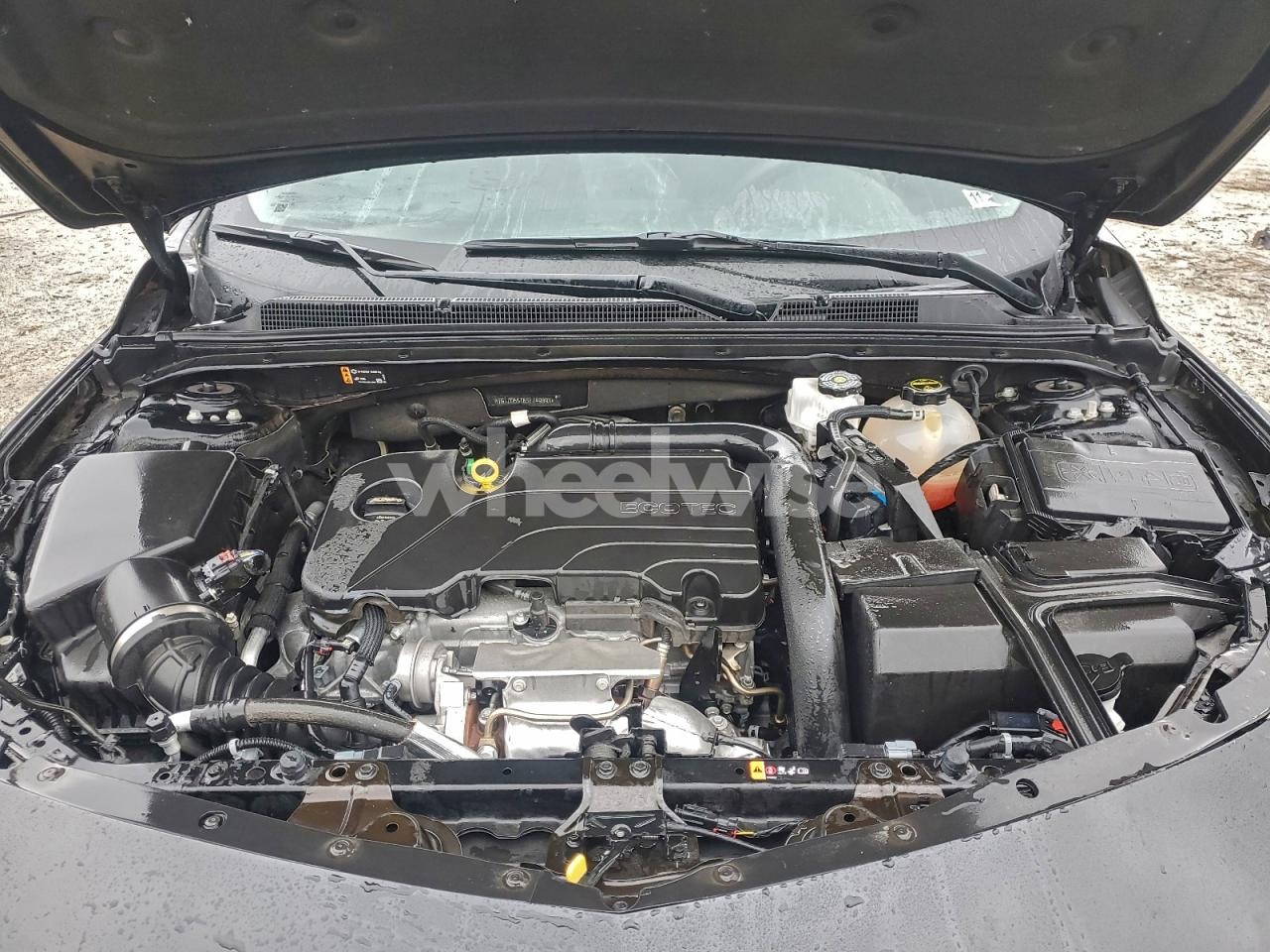 Photo 11 of 2025 CHEVROLET MALIBU LT (VIN 1G1ZD5ST6SF149893)