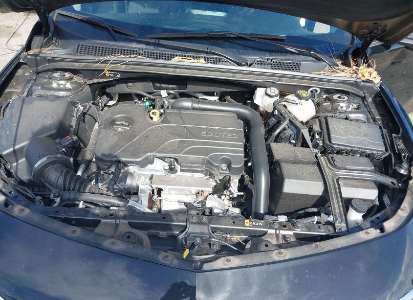 Photo 10 of 2023 Chevrolet Malibu FWD 1LT (VIN 1G1ZD5ST7PF206979)