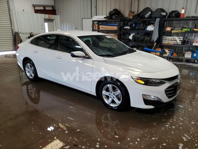 Photo 3 of 2023 CHEVROLET MALIBU LT N/A (VIN 1G1ZD5ST7PF223586)