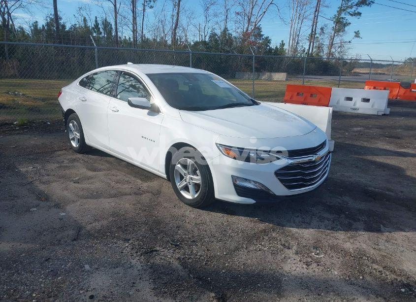 2024 Chevrolet Malibu FWD 1LT (VIN 1G1ZD5ST7RF117948) main photo