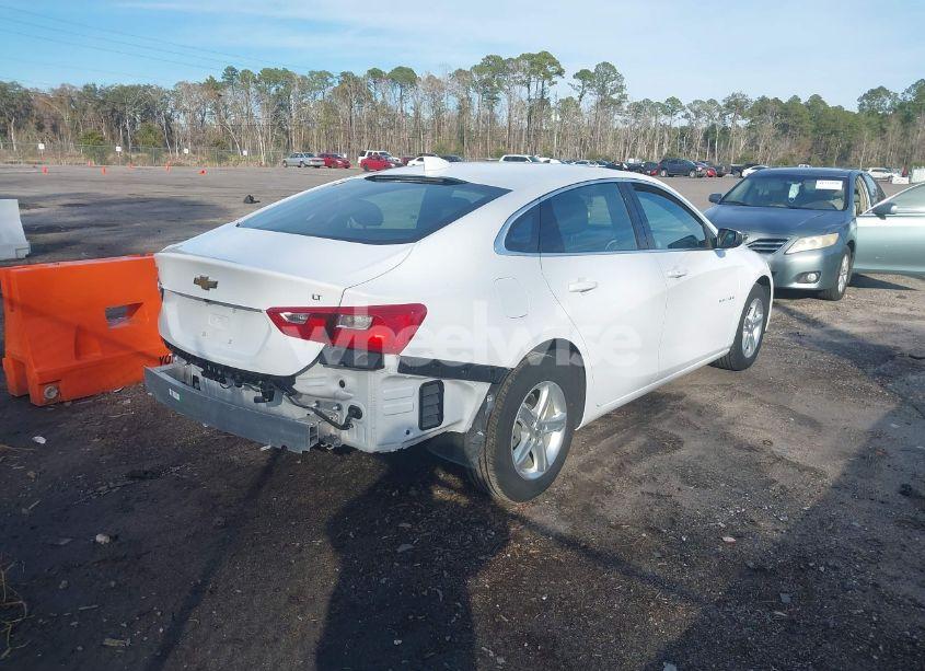 Photo 4 of 2024 Chevrolet Malibu FWD 1LT (VIN 1G1ZD5ST7RF117948)