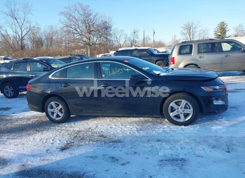Photo 13 of 2024 Chevrolet Malibu FWD 1LT (VIN 1G1ZD5ST7RF119697)