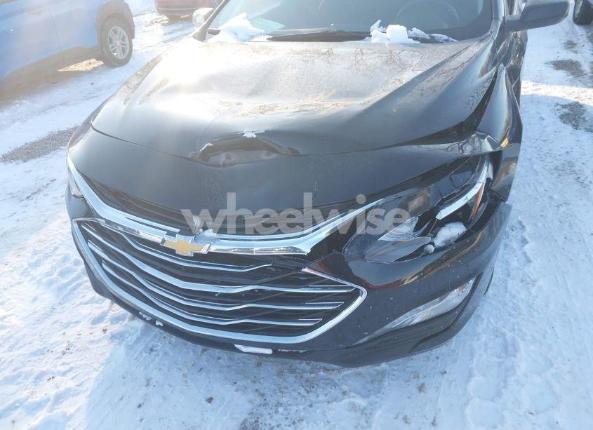 Photo 6 of 2024 Chevrolet Malibu FWD 1LT (VIN 1G1ZD5ST7RF119697)