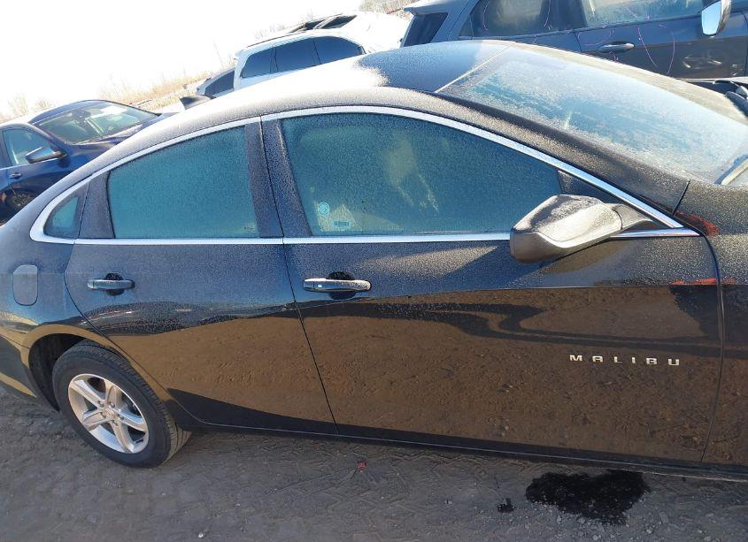 Photo 13 of 2024 Chevrolet Malibu FWD 1LT (VIN 1G1ZD5ST7RF120641)