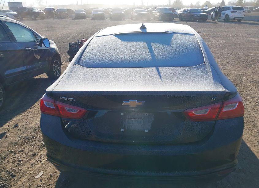 Photo 16 of 2024 Chevrolet Malibu FWD 1LT (VIN 1G1ZD5ST7RF120641)