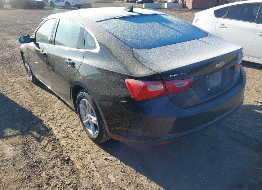 Photo 3 of 2024 Chevrolet Malibu FWD 1LT (VIN 1G1ZD5ST7RF120641)