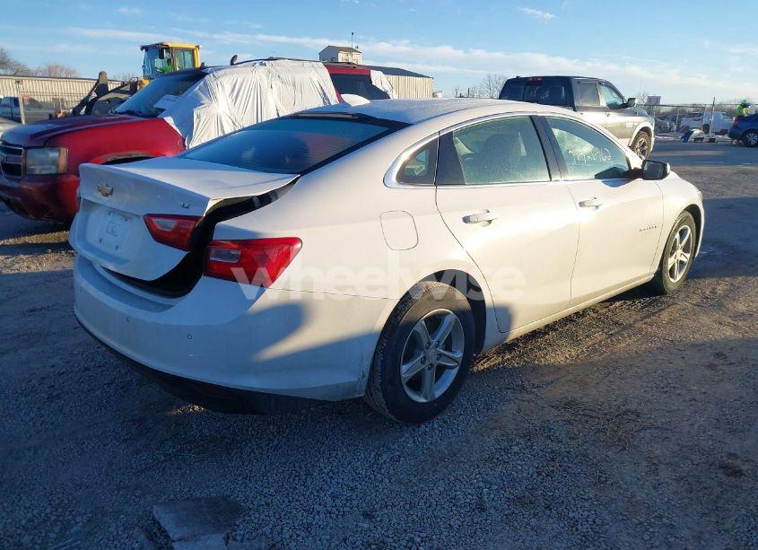 Photo 4 of 2024 Chevrolet Malibu FWD 1LT (VIN 1G1ZD5ST7RF121109)