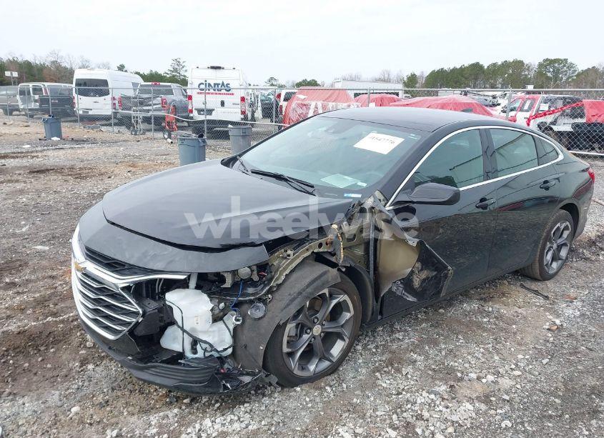 Photo 2 of 2024 Chevrolet Malibu FWD 1LT (VIN 1G1ZD5ST7RF122504)