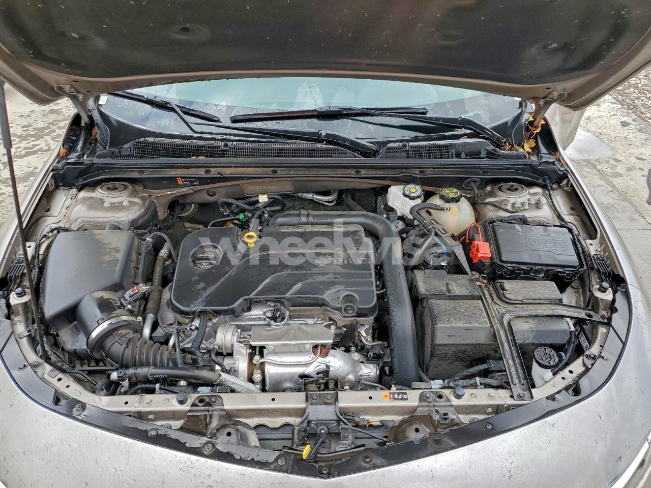 Photo 11 of 2024 CHEVROLET MALIBU LT (VIN 1G1ZD5ST7RF167247)