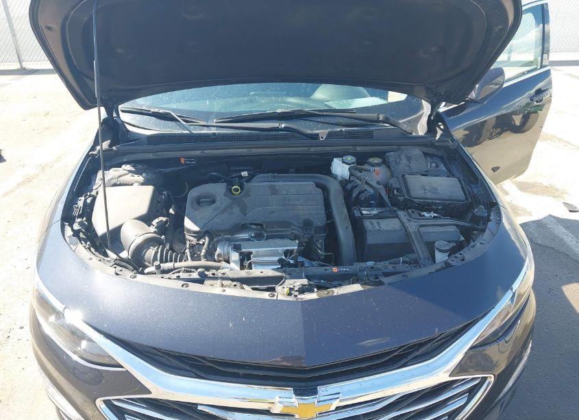 Photo 10 of 2023 Chevrolet Malibu FWD 1LT (VIN 1G1ZD5ST8PF161633)