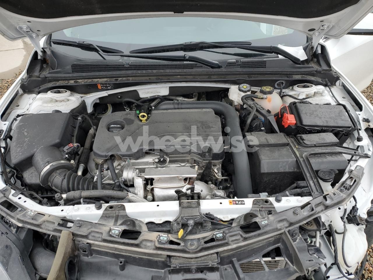 Photo 11 of 2024 CHEVROLET MALIBU LT (VIN 1G1ZD5ST8RF125959)