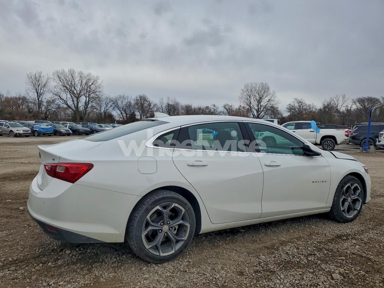 Photo 3 of 2024 CHEVROLET MALIBU LT (VIN 1G1ZD5ST8RF125959)