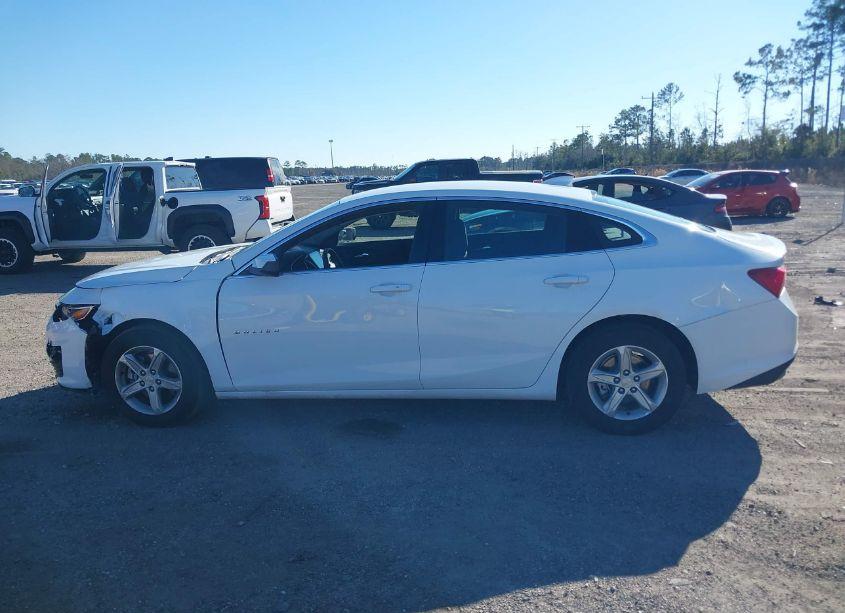 Photo 14 of 2024 Chevrolet Malibu FWD 1LT (VIN 1G1ZD5ST8RF132927)