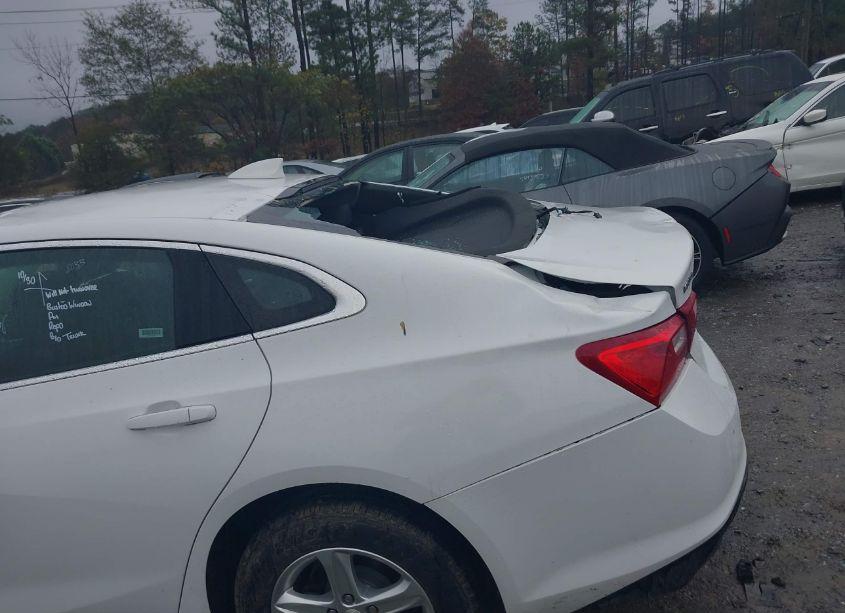 Photo 6 of 2024 Chevrolet Malibu FWD 1LT (VIN 1G1ZD5ST8RF133933)