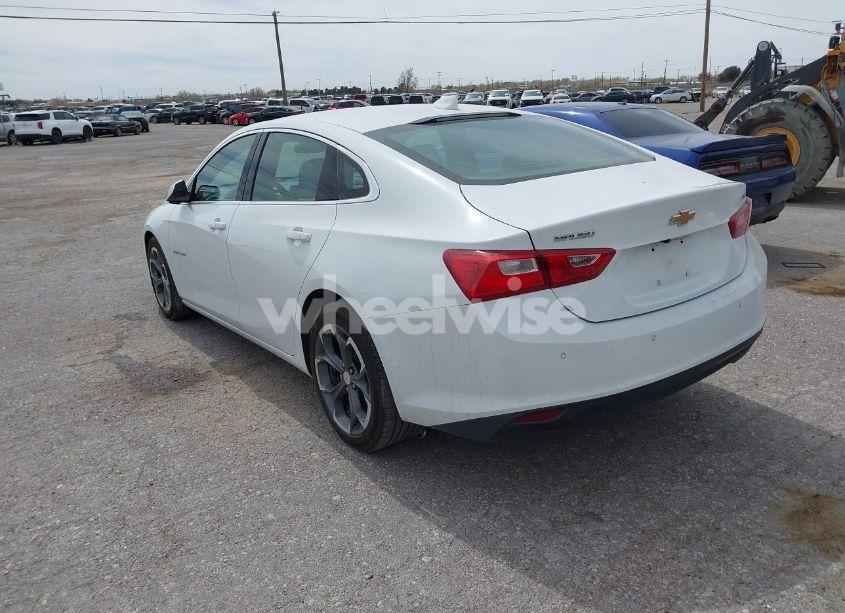 Photo 3 of 2024 Chevrolet Malibu FWD 1LT (VIN 1G1ZD5ST8RF179651)