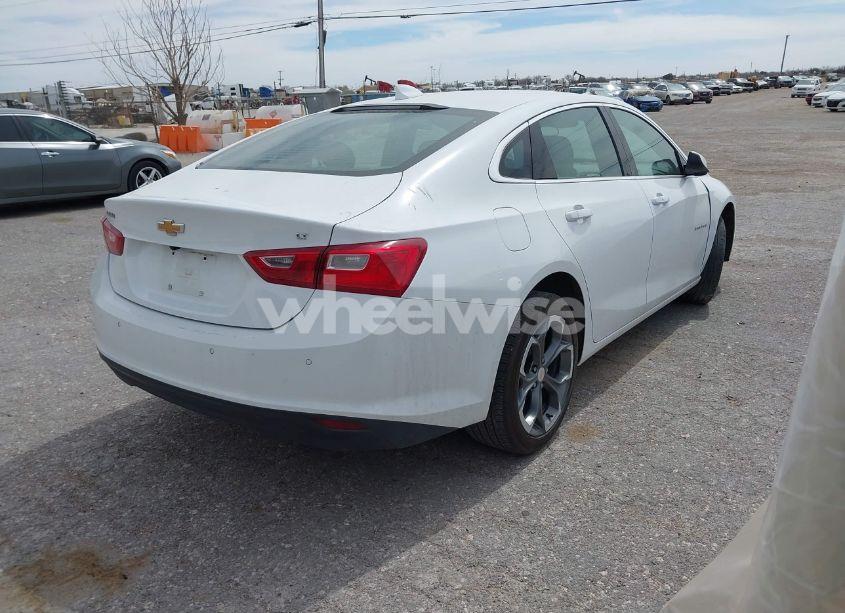 Photo 4 of 2024 Chevrolet Malibu FWD 1LT (VIN 1G1ZD5ST8RF179651)
