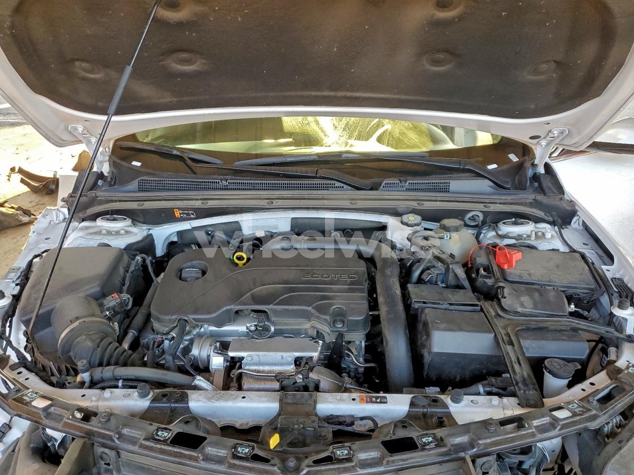 Photo 11 of 2024 CHEVROLET MALIBU LT (VIN 1G1ZD5ST8RF196904)