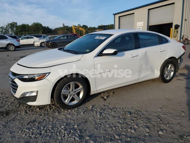 Photo 3 of 2024 CHEVROLET MALIBU LT (VIN 1G1ZD5ST8RF206167)