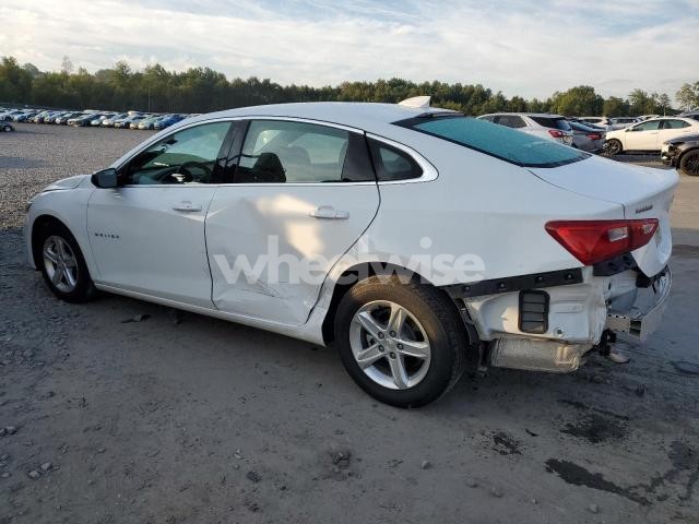Photo 9 of 2024 CHEVROLET MALIBU LT (VIN 1G1ZD5ST8RF206167)