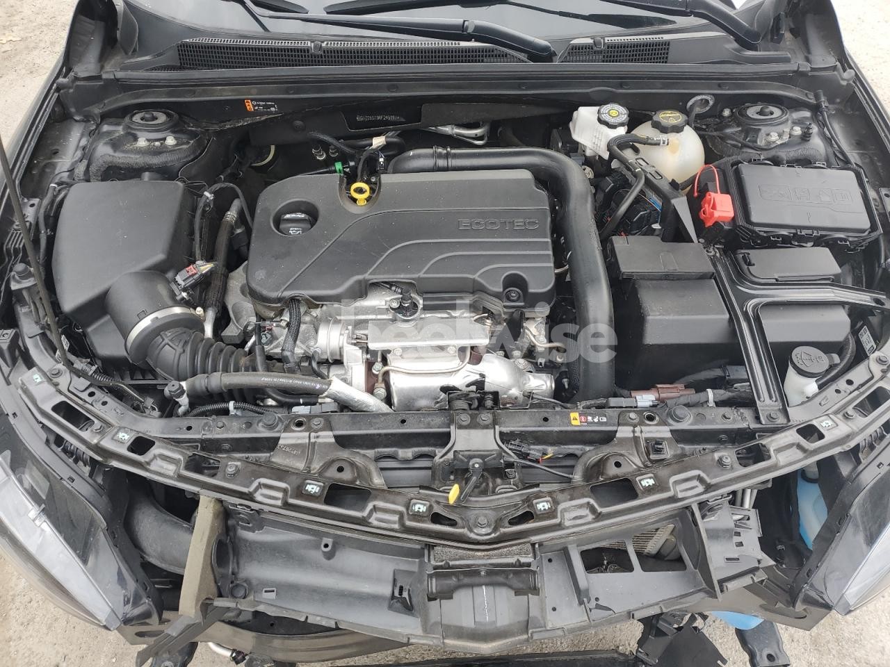 Photo 11 of 2024 CHEVROLET MALIBU LT (VIN 1G1ZD5ST9RF245091)