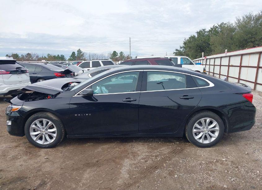 Photo 14 of 2025 Chevrolet Malibu LT (VIN 1G1ZD5ST9SF127984)