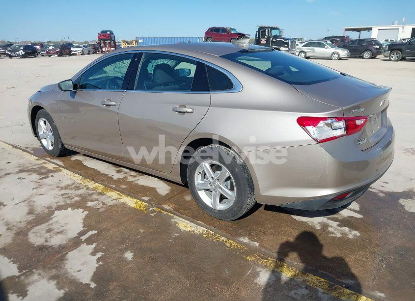 Photo 3 of 2024 Chevrolet Malibu FWD 1LT (VIN 1G1ZD5STXRF220619)