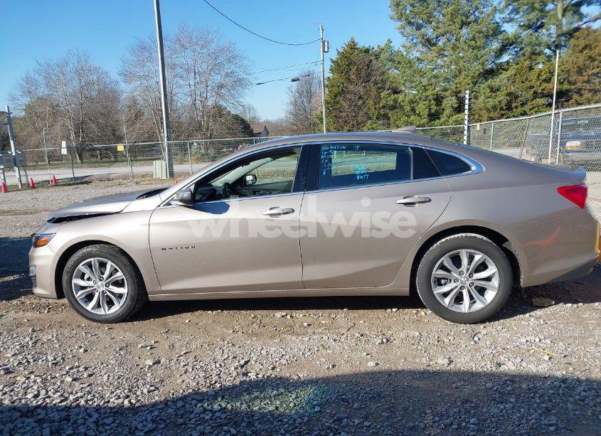 Photo 14 of 2025 Chevrolet Malibu FWD 1LT (VIN 1G1ZD5STXSF150092)