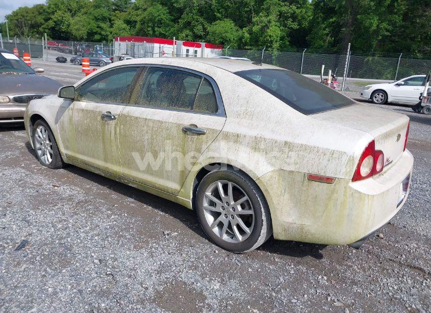 Photo 3 of 2010 Chevrolet Malibu LTZ (VIN 1G1ZE5E71AF101003)