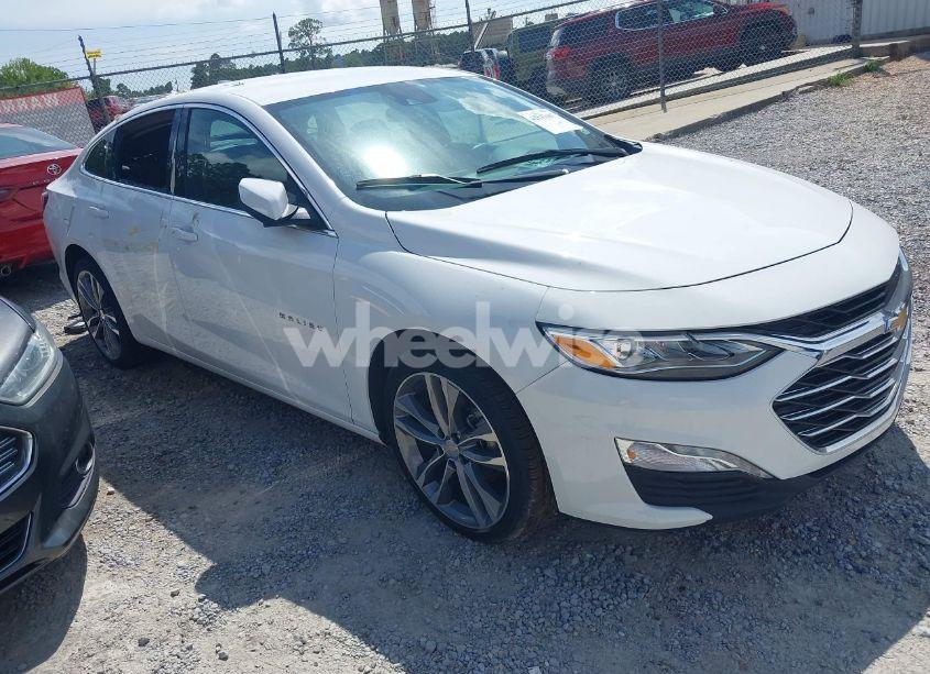 2024 Chevrolet Malibu FWD 2LT (VIN 1G1ZE5ST4RF123302) main photo