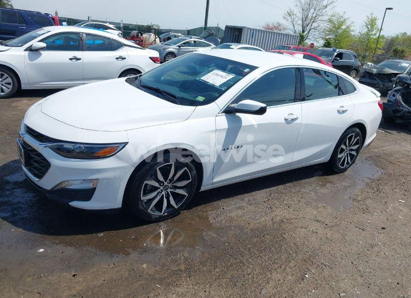 Photo 14 of 2024 Chevrolet Malibu FWD RS (VIN 1G1ZG5ST4RF137453)